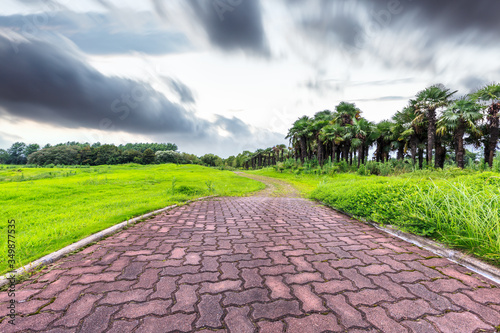 Brick road and green grass with forest on a cloudy day.