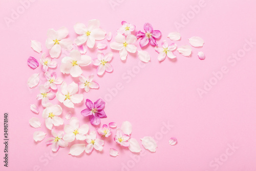 pink  apple flowers on pink background