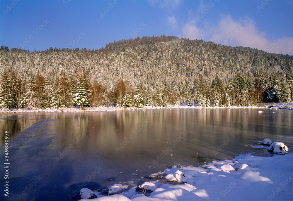 paysage d'hiver avec un lac gelé dans les Vosges, France