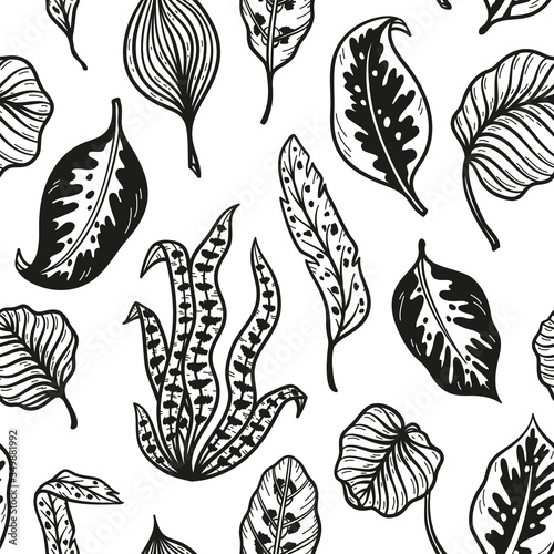 Vector Tropical Palm Tree Leaves Seamless Pattern. Hand Drawn Doodle Palm Leaf Sketch Drawing. Summer Floral Background. Tropical Plants Wallpaper 