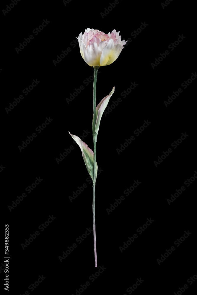 Artificial terry tulip on black background Artificial terry tulip on black background