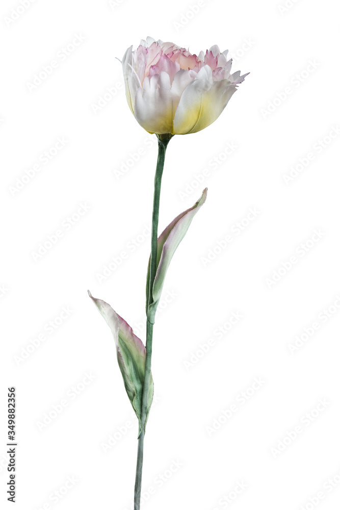 Artificial terry tulip on white background Artificial terry tulip on white background