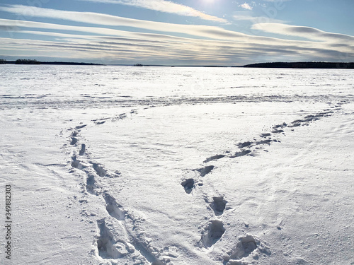 Russia  Chelyabinsk region. Track marks on the lake Uvildy in winter sunny day