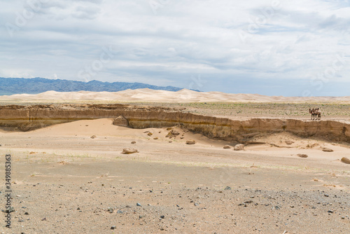 Sand Cliffs in the Gobi Desert