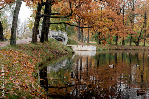 Fototapeta Naklejka Na Ścianę i Meble -  Bridge in autumn park in city of Pushkin near St. Petersburg in Russia