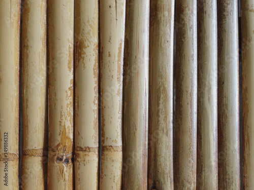 Tableau sur toile Full Frame Shot Of Bamboos