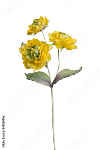 Artificial heliopsis flower on white background