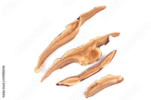 Dried Lingzhi Isolated on a White Background