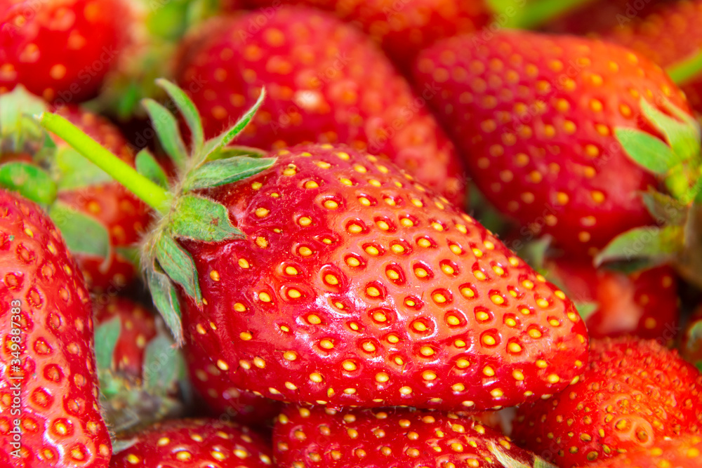 Beautiful , juicy and fresh red strawberries Beautiful , juicy and fresh red strawberries