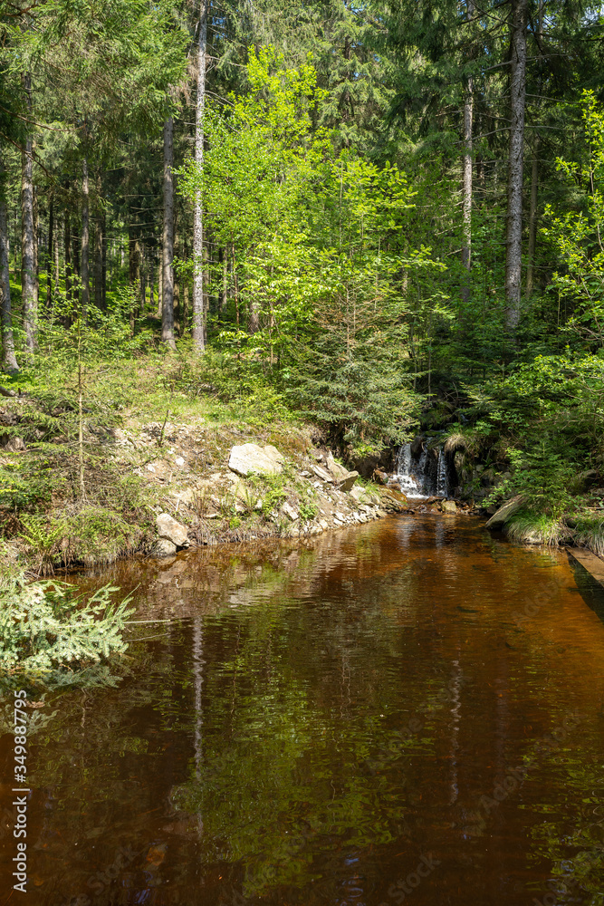 Bach im Bayerischen Wald bei Sankt Englmar Bach im Bayerischen Wald bei Sankt Englmar