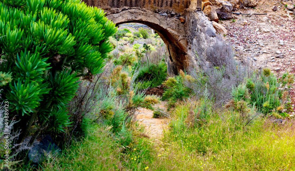 bridge and tunnel made by man in natural setting of the canary islands