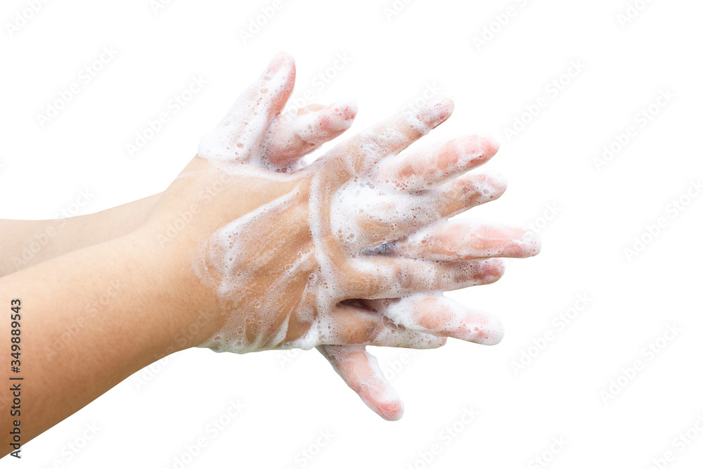 Hands washing soap foam isolated on white background with clipping path,Prevent germs, bacteria or viruses. Hands washing soap foam isolated on white background with clipping path,Prevent germs, bacteria or viruses.