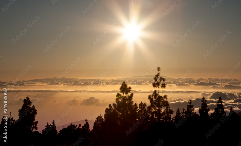 Sunset of Teide National Park, Tenerife. The sun is seting on the clouds, silhouettes of pine trees