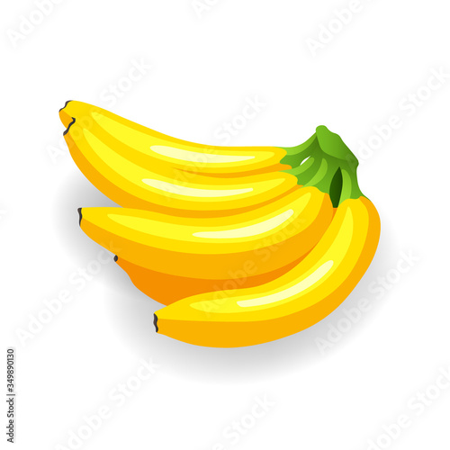 Bunch of ripe bananas isolated on white. Yummy tropical fruits, vector illustration in flat style