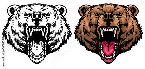 angry grizzly head roaring