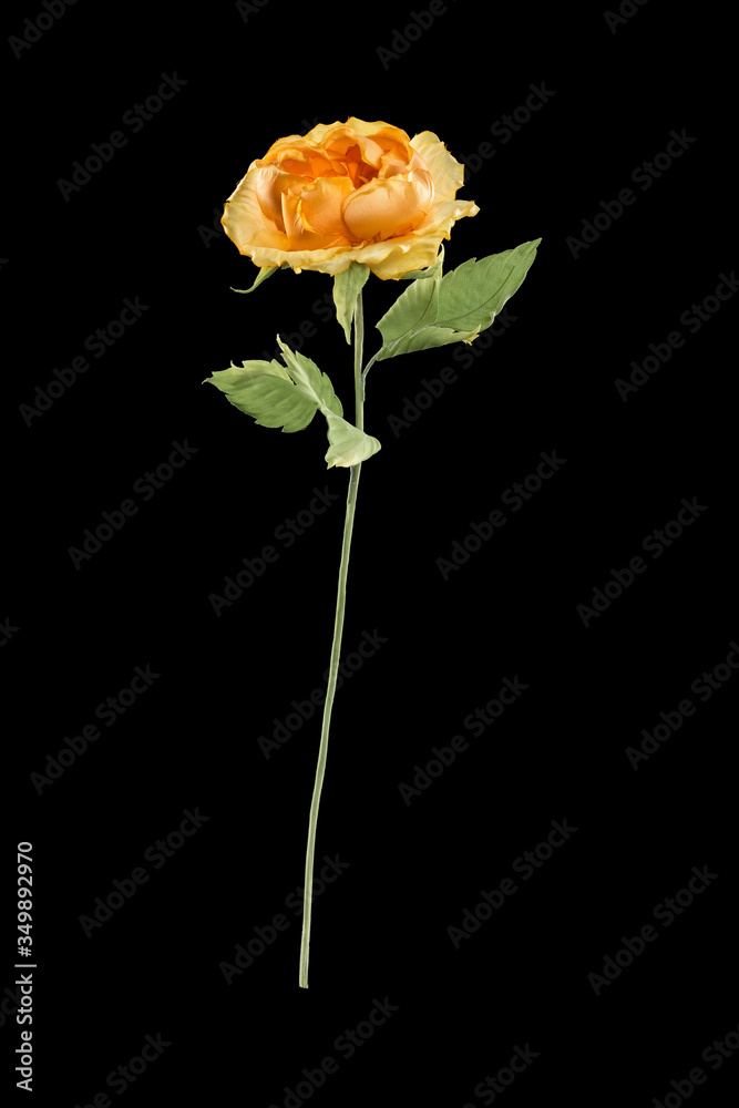 Fototapeta premium Artificial flower on black background