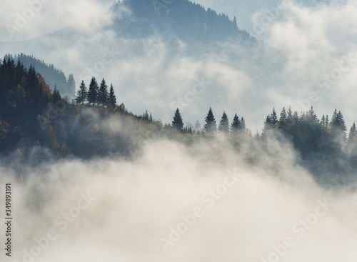 silhouettes of mountains. foggy autumn morning. Morning Carpathians