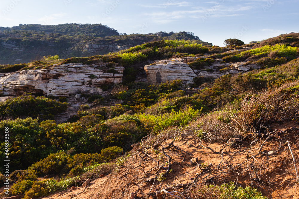 landscape next to the pilar beach in menorca (balearic islands, spain)