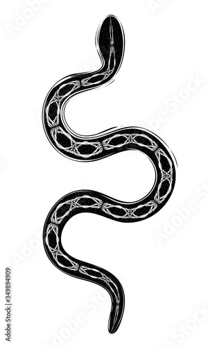 abstract gothic illustration of snake