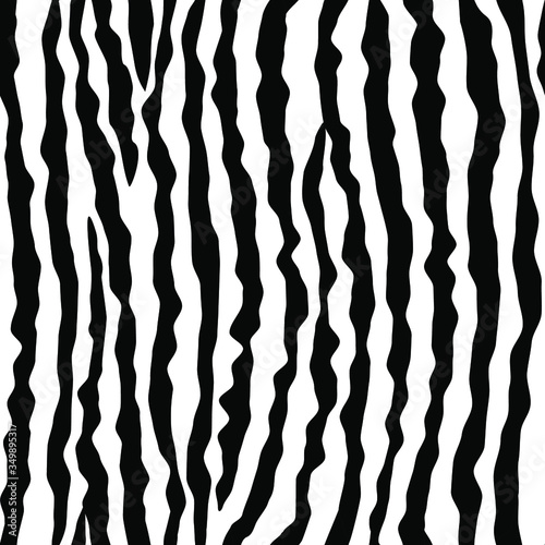 Zebra skin, stripes pattern. Animal print, black and white detailed and realistic texture. Monochrome seamless background. Vector illustration 