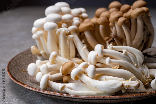 Fresh buna brown and bunapi white shimeji edible mushrooms from Asia, rich in umami tasting compounds such as guanylic and glutamic acid photo