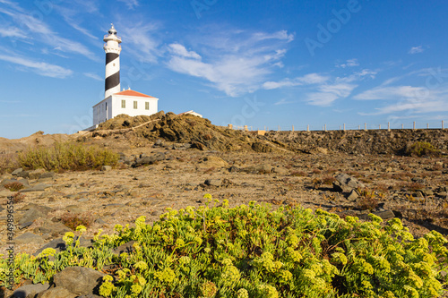 rocky coast of menorca landscape with lighthouse of favaritx in the background. (balearic islands, spain) photo