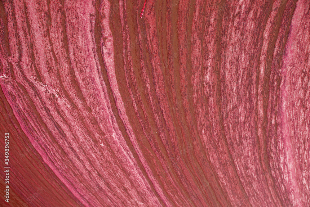 Fototapeta premium abstract background photo