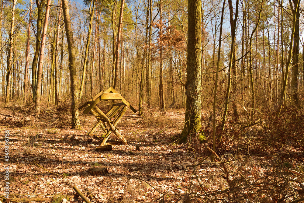 Drewniany pusty paśnik w lesie wśród drzew. - obrazy, fototapety, plakaty 