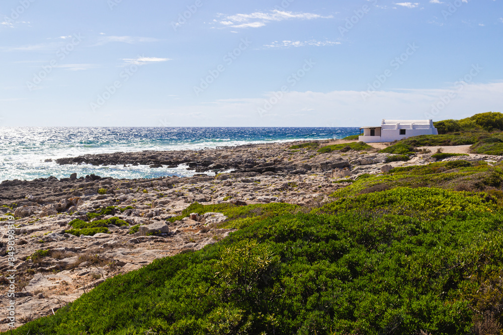 Landscape of rocky coast of Menorca with detail of vegetation (balearic islands, spain)