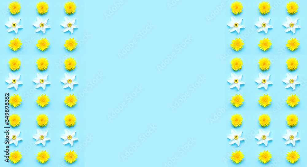 Pattern mit dandelion and daffodil flowers on blue background. Hello Summer concept