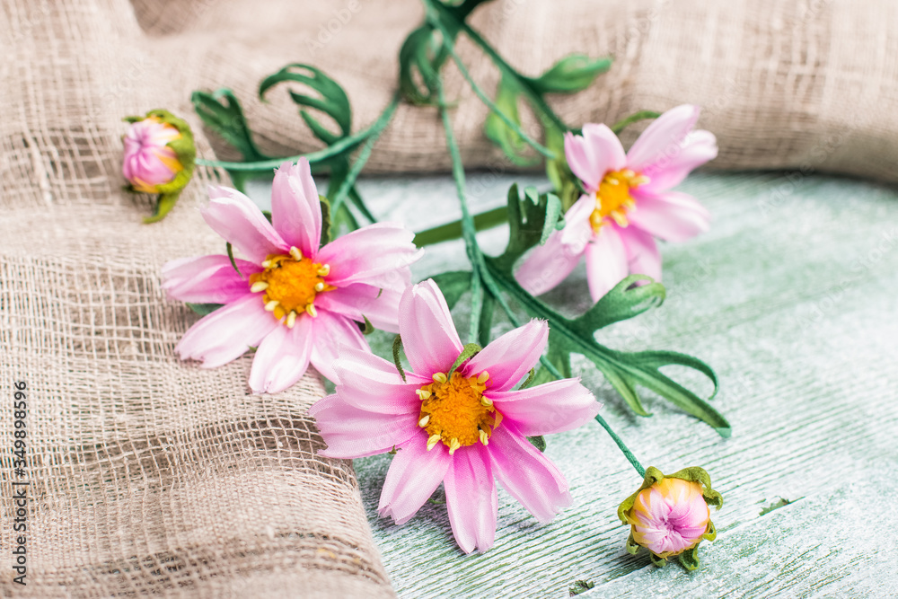 Artificial cosmos bipinnatus on green wood table
Artificial cosmos bipinnatus on green wood table