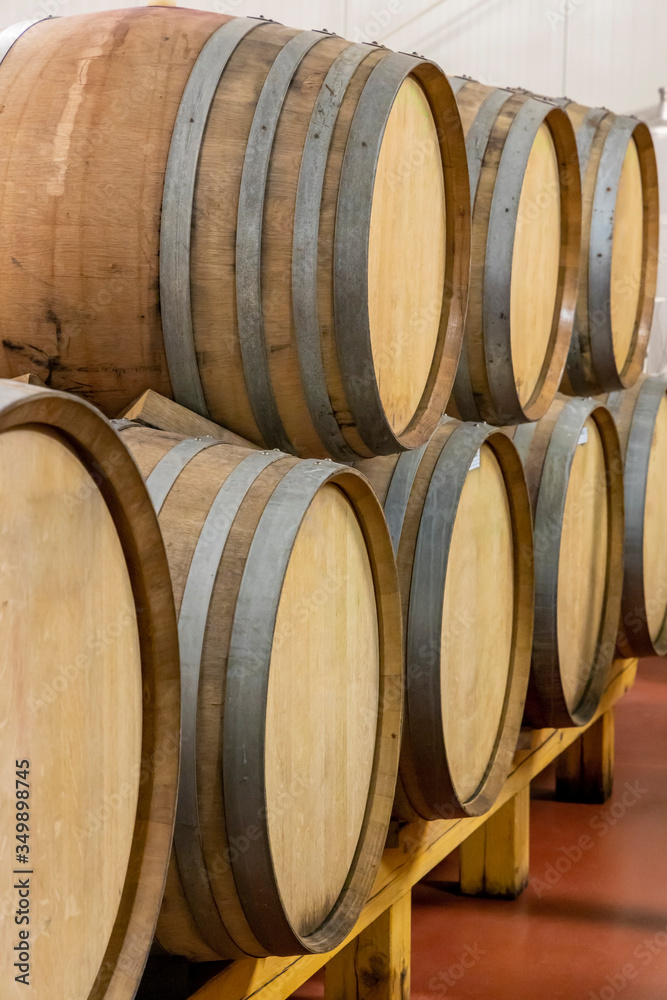 wine cellar with wooden barrels, Southern Moravia, Czech Republic
