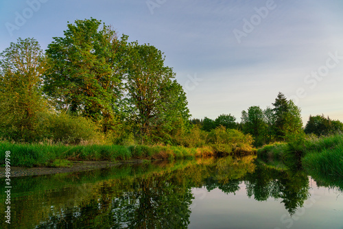 Fototapeta Naklejka Na Ścianę i Meble -  Kennedy Creek, Shelton Washington