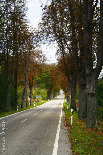 road in autumn © Raul