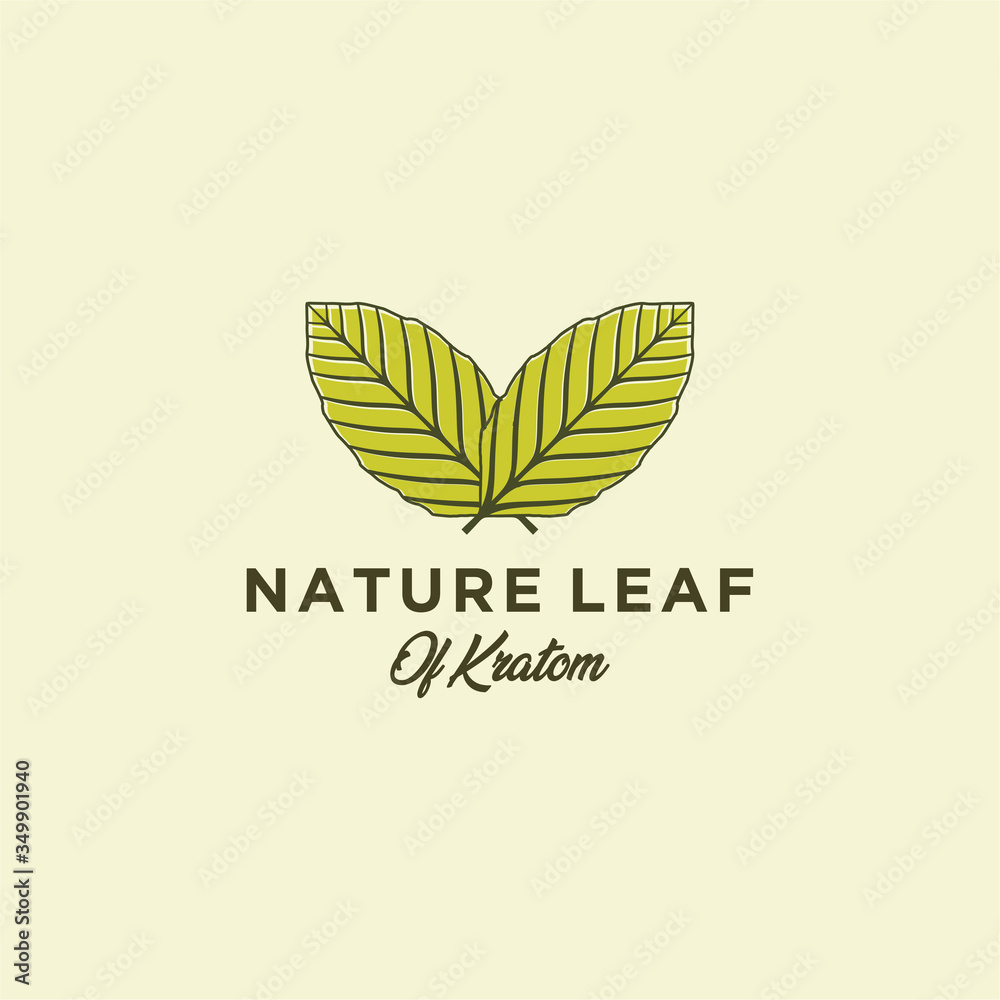 Mitragyna speciosa. kratom leaf logo design vector icon illustration