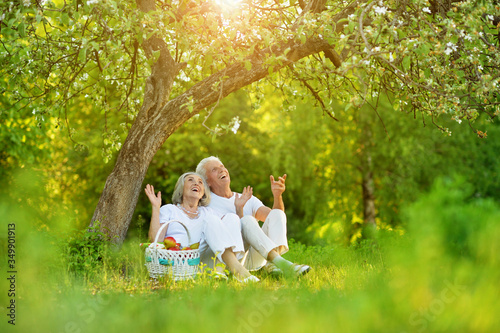 Portrait of loving elderly couple having a picnic © aletia2011