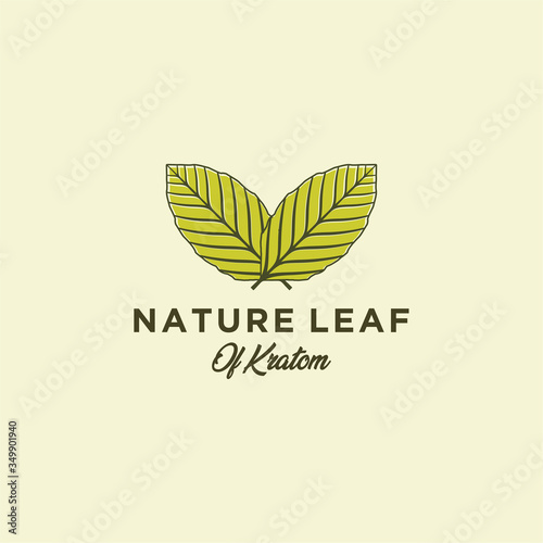 Mitragyna speciosa. kratom leaf logo design vector icon illustration
