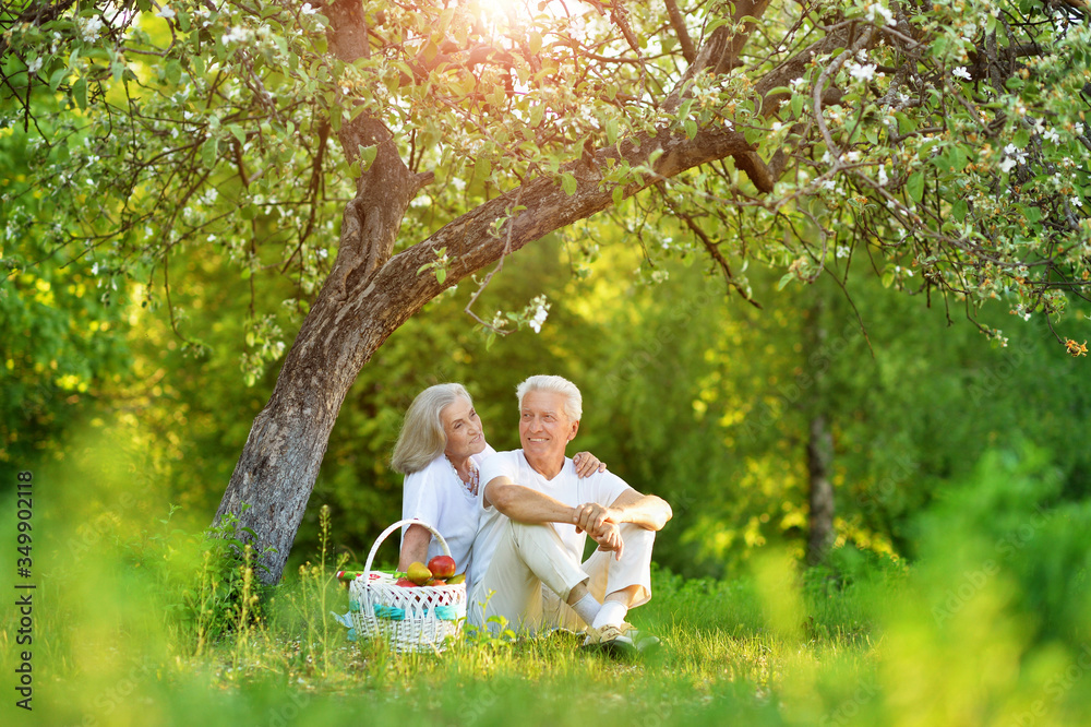 Portrait of loving elderly couple having a picnic Portrait of loving elderly couple having a picnic