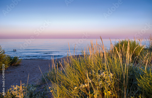 Sea coast with spikelets. Photo of evening seascape.