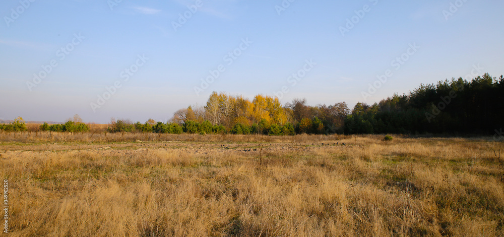 Different views of autumn scenery