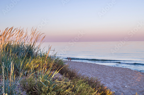 Sea coast with spikelets. Photo of evening seascape.