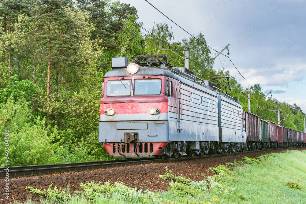Naklejka premium Freight train moves by the spring forest.