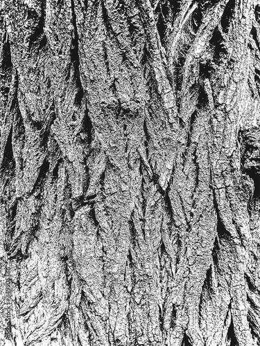 Distressed overlay wooden bark texture, grunge background.