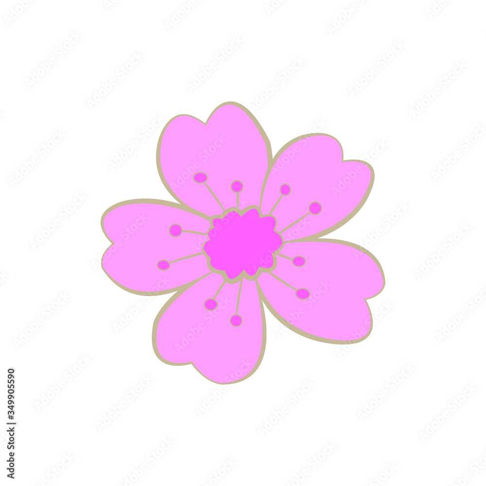 Vector flower on a white background. Delicate pink flower with 5 petals with a pink center. Forget-me-not with gold stroke. Meadow grass with heart-shaped petals, without a stem. Fairytale flower.
