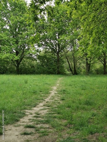 path in the park © Michaela