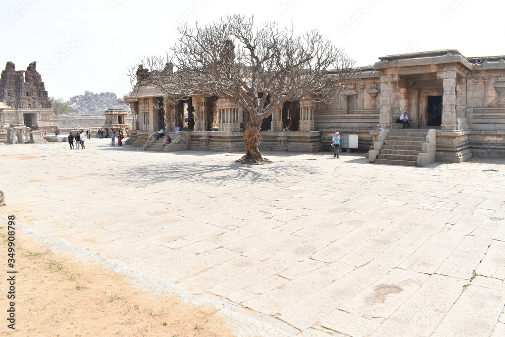 Fototapeta premium Vijaya Vitthala Temple with tree and its shadow in the middle clicked by Deep S. Nahar 