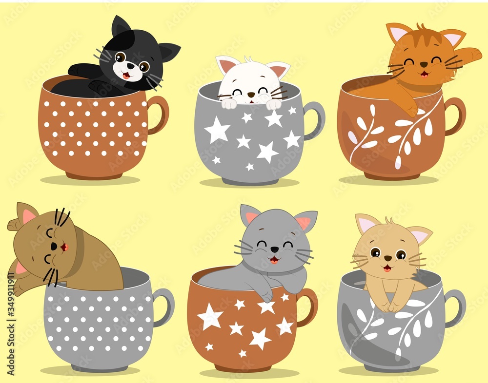 Obraz premium CAT IN A CUP 4