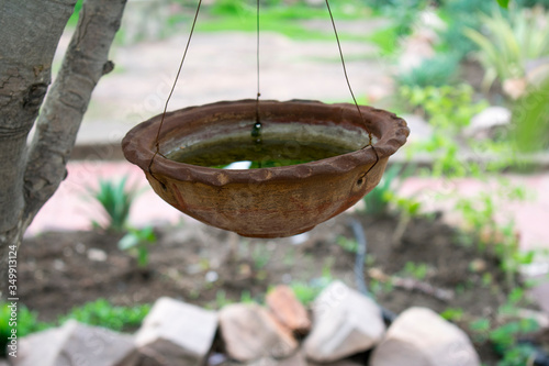 Hanging clay pot on tree with water for birds