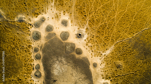 Aerial image of a dried-up waterhole with multiple anmal tracks in a grass field in Africa, Botswana, Okavango Delta photo