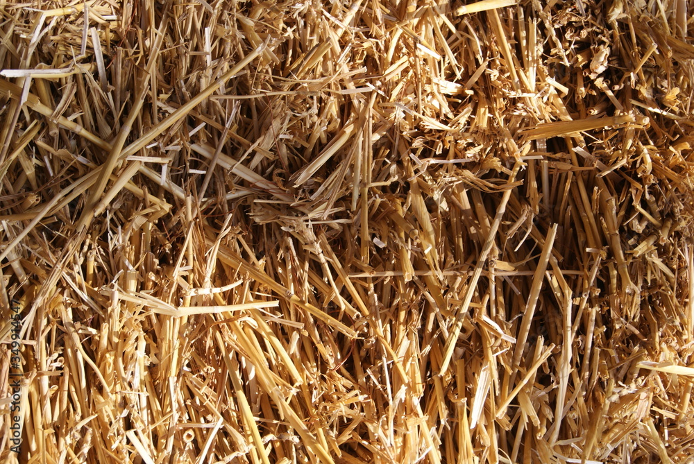 Background of dry natural straw, with shadow and illuminated areas Background of dry natural straw, with shadow and illuminated areas